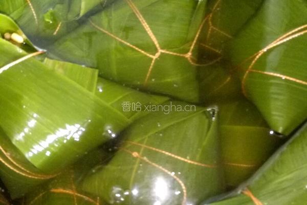 鲜肉粽的做法图解11