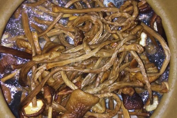 茶树菇猪肚汤的做法图解6