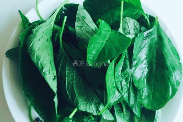 翡翠白菜饺子的做法图解2
