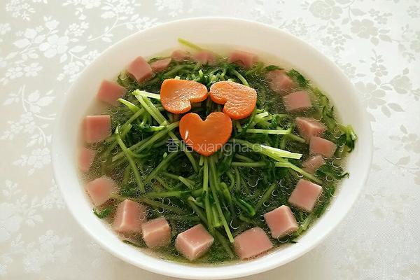 上汤豆苗