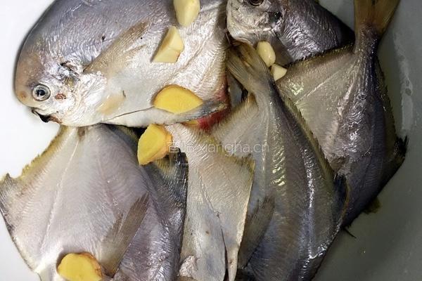 红烧鲳鳊鱼的做法图解1