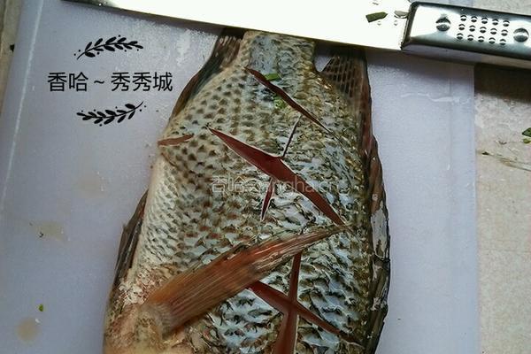 自创高压锅清蒸鱼的做法图解2