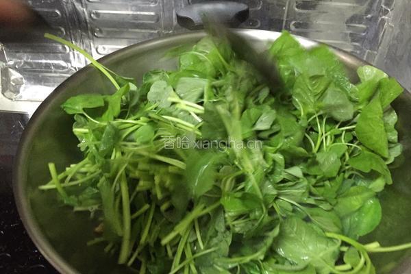 苋菜虾仁的做法图解5
