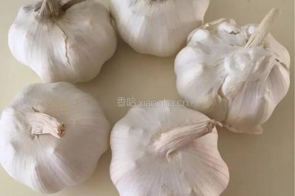 醋泡大蒜的做法图解1