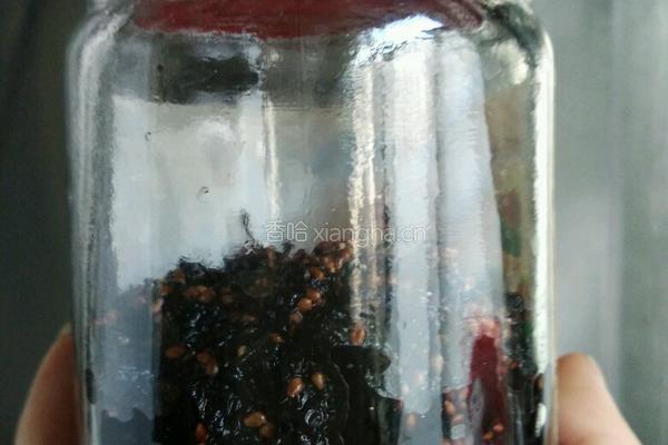 桑椹酱的做法图解5