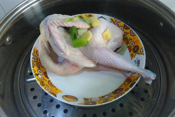 清蒸仔鸡的做法图解4