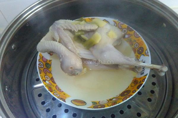 清蒸仔鸡的做法图解5