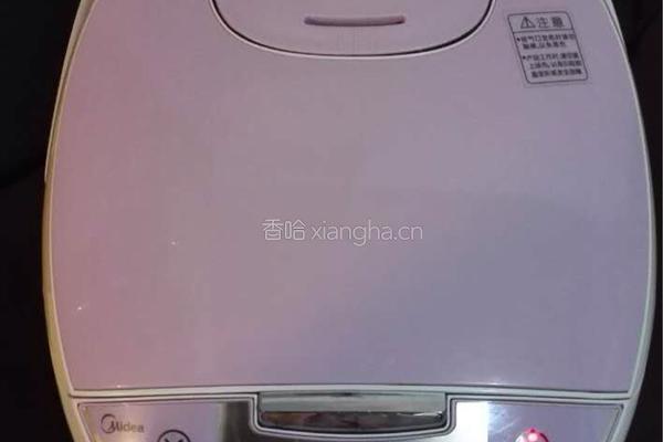 原汁原味的椰子饭的做法图解10