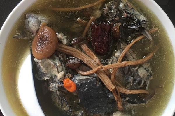 乌鸡炖茶树菇的做法图解4