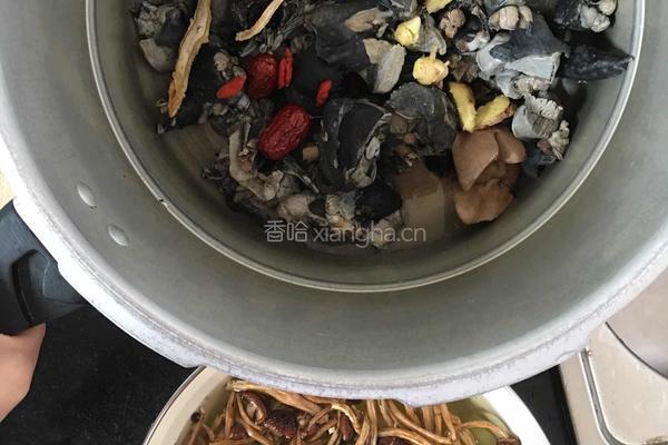乌鸡炖茶树菇的做法图解2