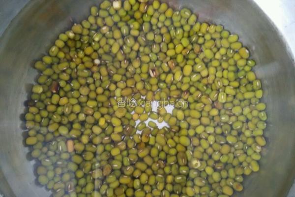 发绿豆芽的做法图解1