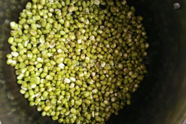 发绿豆芽的做法图解3