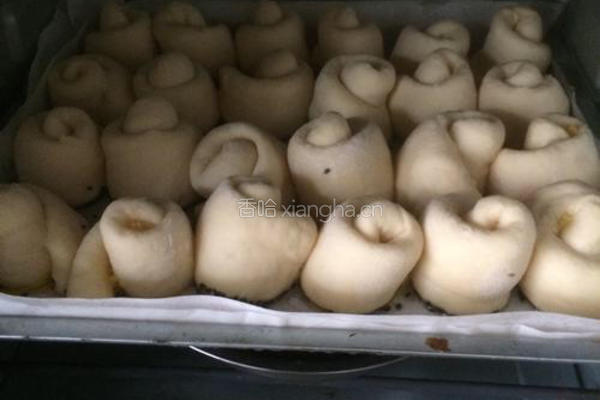 蜂蜜小面包的做法图解14