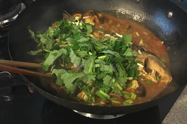 藿香泡菜鯽魚的做法图解7