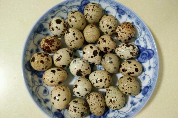 鹌鹑蛋烧排骨的做法图解2