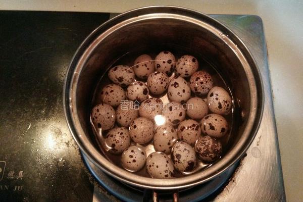 鹌鹑蛋烧排骨的做法图解4