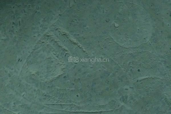 韭菜片的做法图解6