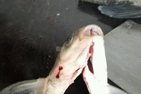 懒人做法孔雀开屏鱼的做法图解4