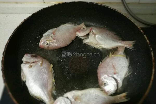 香煎红立鱼的做法图解4