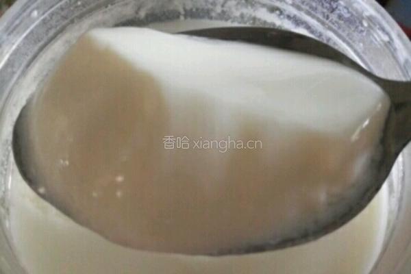 芒果酸﻿﻿﻿﻿﻿﻿﻿﻿﻿﻿﻿奶的做法图解1
