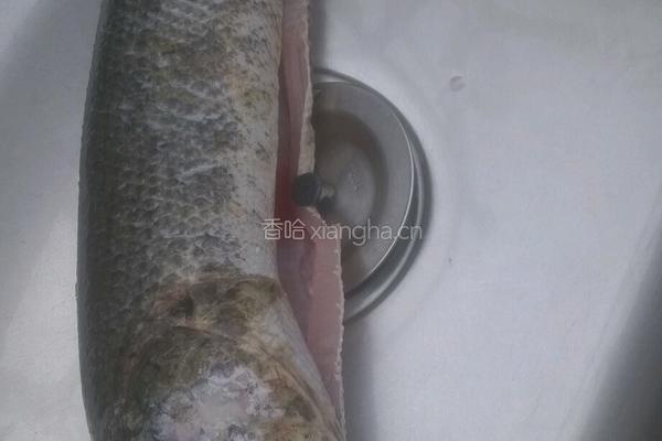 酸菜鱼的做法图解2