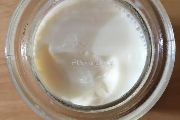 牛奶布丁