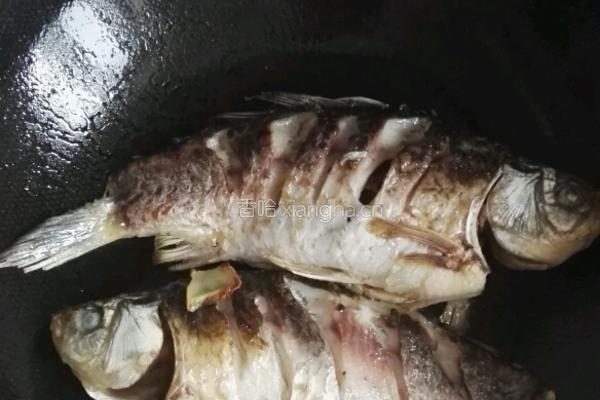 鲜虾鲫鱼冬瓜汤的做法图解3