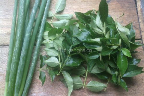 葱花花椒叶油饼的做法图解1
