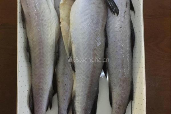 鲜族风味辣椒酱腌鳕鱼的做法图解1