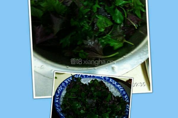 紫苏鸭的做法图解1