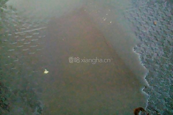 干煎香辣鸡脖的做法图解12
