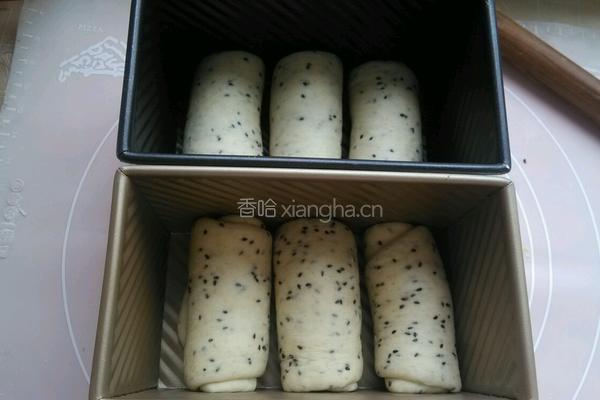 全麦黑芝麻奶香土司的做法图解9