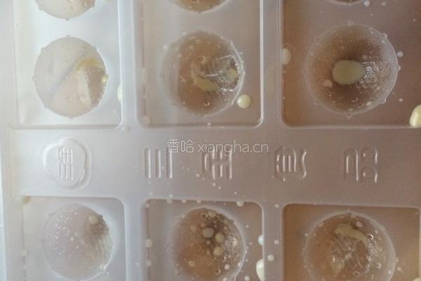 水果?酸奶冰淇淋的做法图解6