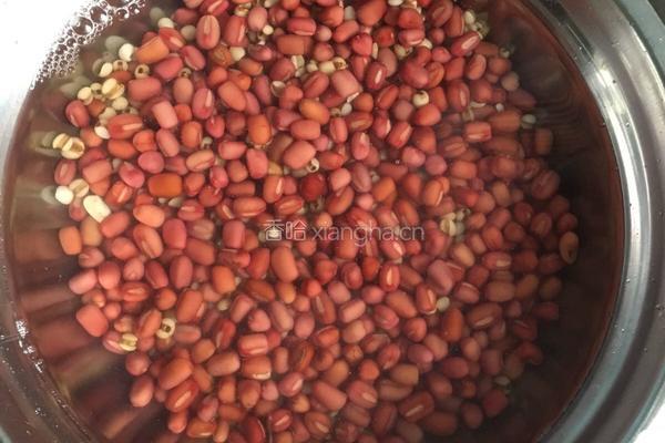 薏仁红豆汤的做法图解1