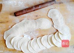 卷心菜猪肉馅饺子的做法图解18