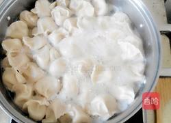 卷心菜猪肉馅饺子的做法图解27