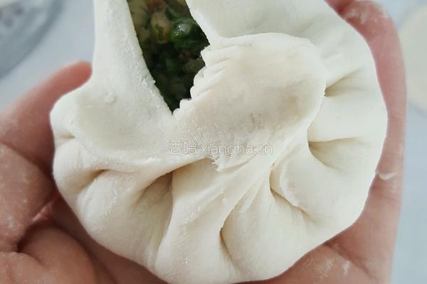 牛肉茴香包子的做法图解18