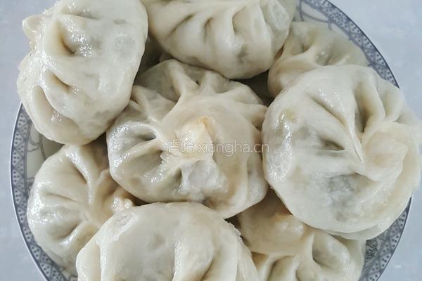 牛肉茴香包子的做法图解22