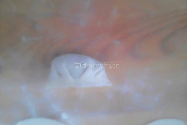 猪肉茴香馅饺子的做法图解16