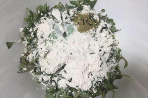 咸鲜马齿苋的做法图解3