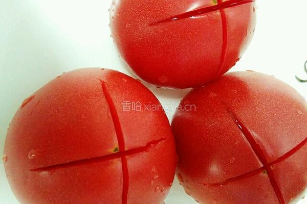 自制番茄酱的做法图解2