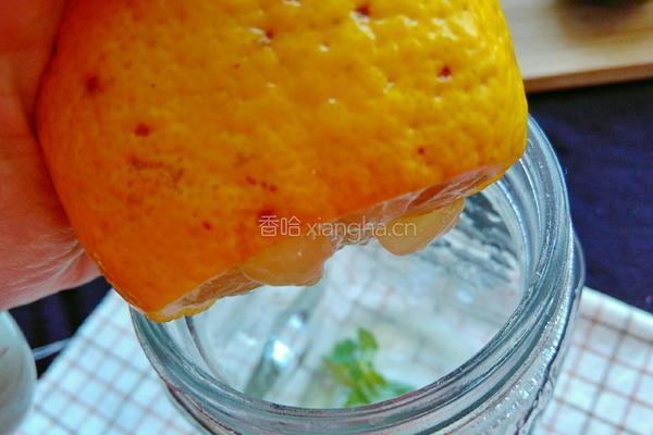 柠檬气泡饮的做法图解6