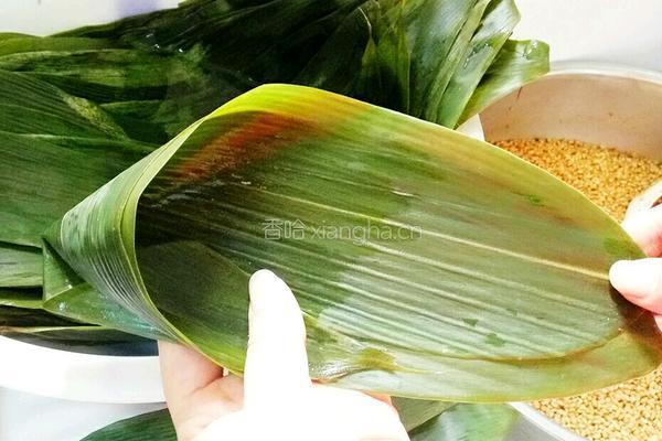 包粽子(蛋黄肉粽)的做法图解8