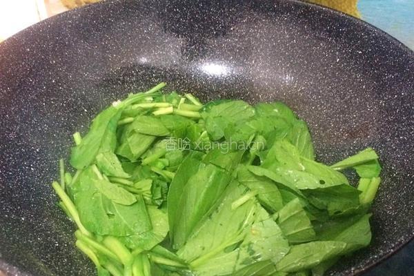 豆酱油菜的做法图解5