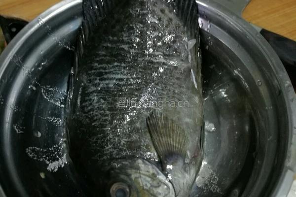 煎泥猛鱼的做法图解2