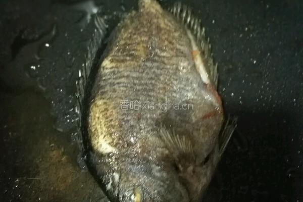 煎泥猛鱼的做法图解3