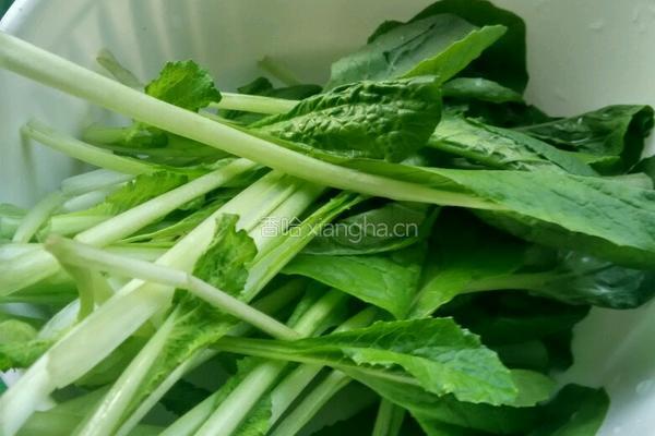 小白菜炖豆腐的做法图解2