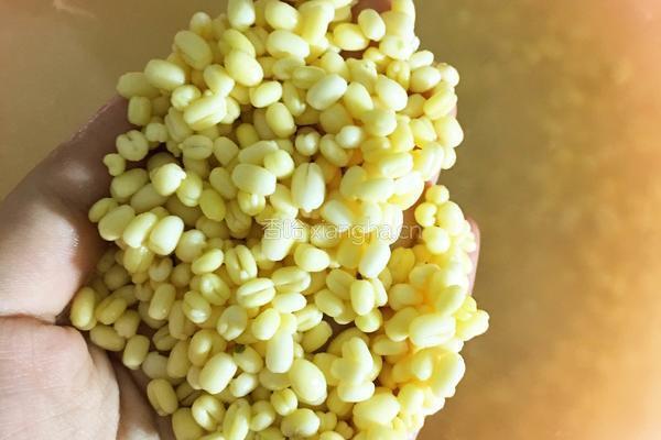 桂花绿豆糕的做法图解1