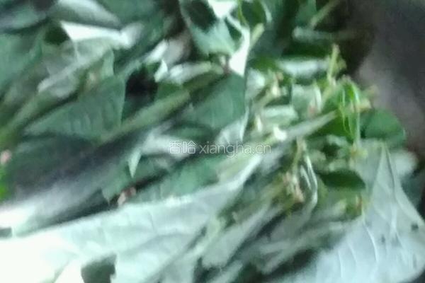 豆角叶汤的做法图解1