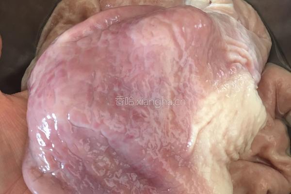 卤猪肚的做法图解2